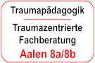 Traumazentrierte Fachberatung: Module 8a + 8b 