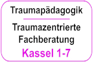 Traumapädagogik / Traumazentrierte Fachberatung: Module 1-7 (Grundlagen)